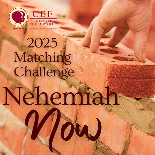 Support Our Summer Team